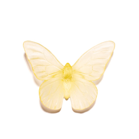 Monarch | Classic Mount Butterfly | Glass