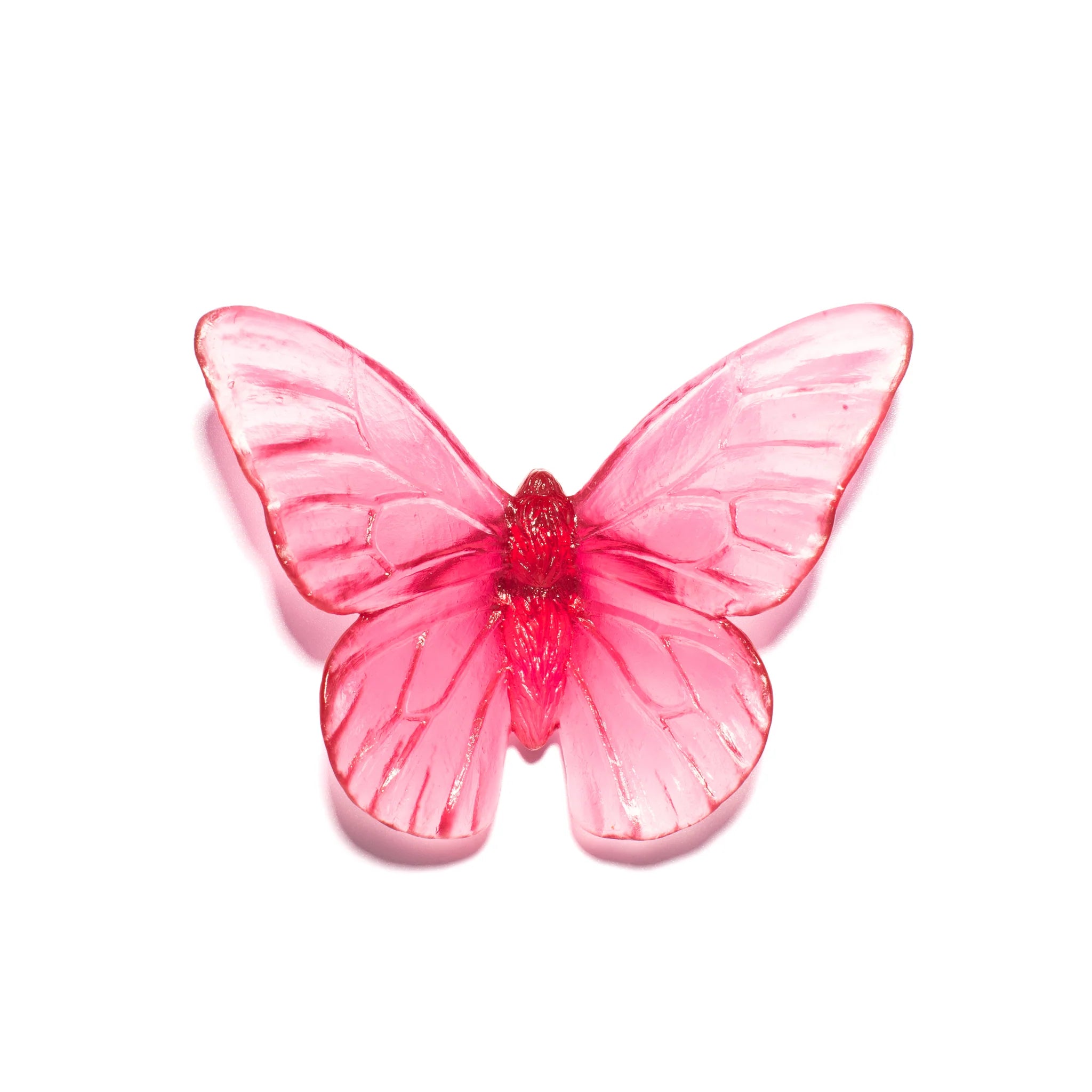 Monarch | Classic Mount Butterfly | Glass