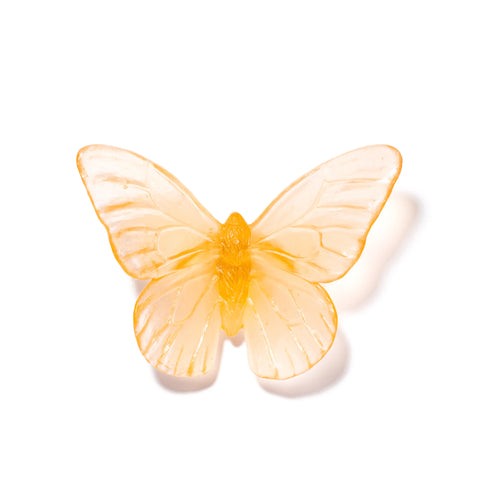 Monarch | Classic Mount Butterfly | Glass
