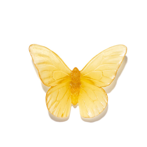 Monarch | Classic Mount Butterfly | Glass