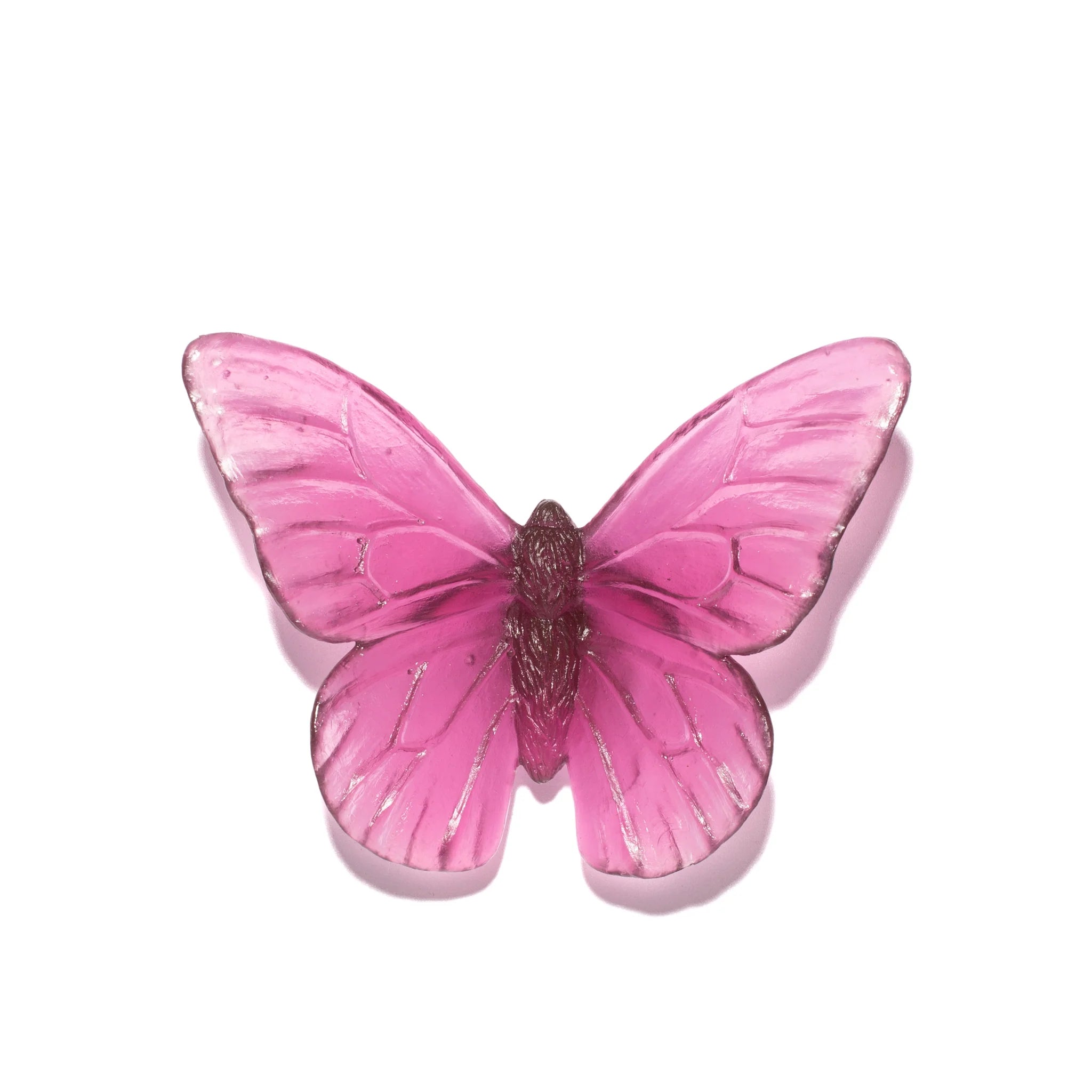Monarch | Classic Mount Butterfly | Glass