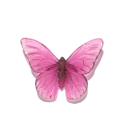 Monarch | Classic Mount Butterfly | Glass