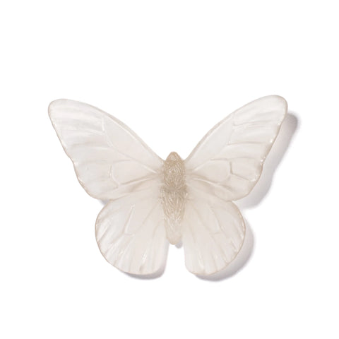 Monarch | Classic Mount Butterfly | Glass