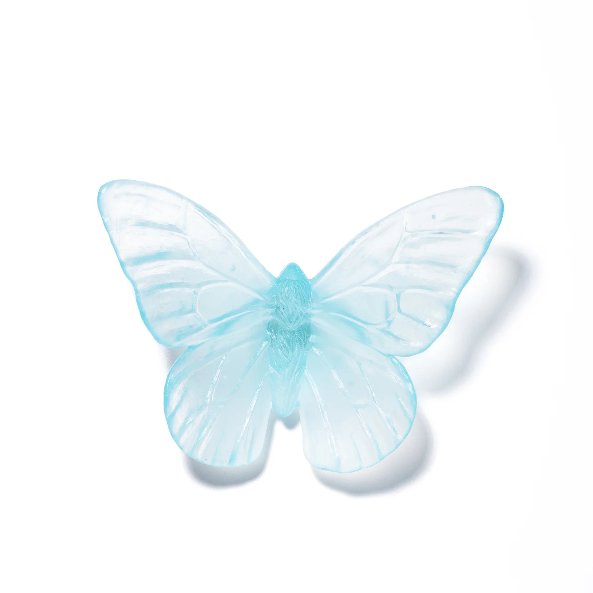 Monarch | Classic Mount Butterfly | Glass