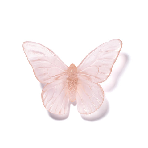 Monarch | Classic Mount Butterfly | Glass