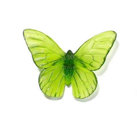 Monarch | Classic Mount Butterfly | Glass