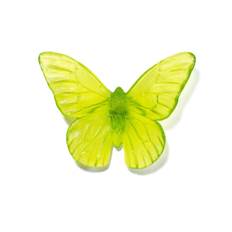Monarch | Classic Mount Butterfly | Glass