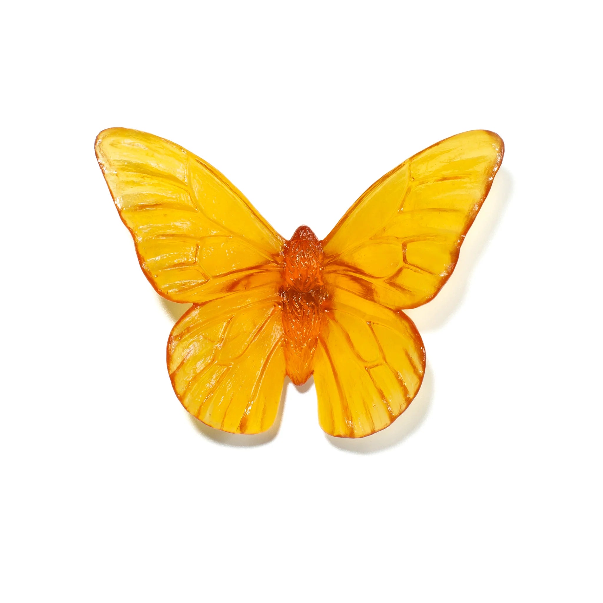 Monarch | Classic Mount Butterfly | Glass