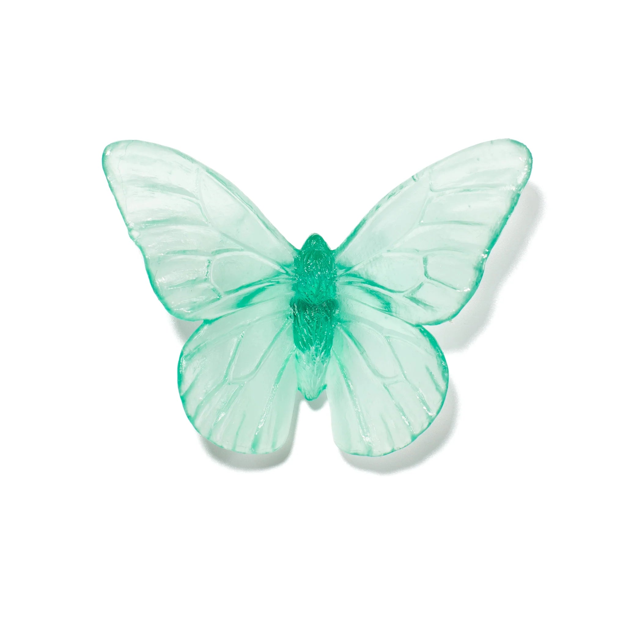 Monarch | Classic Mount Butterfly | Glass