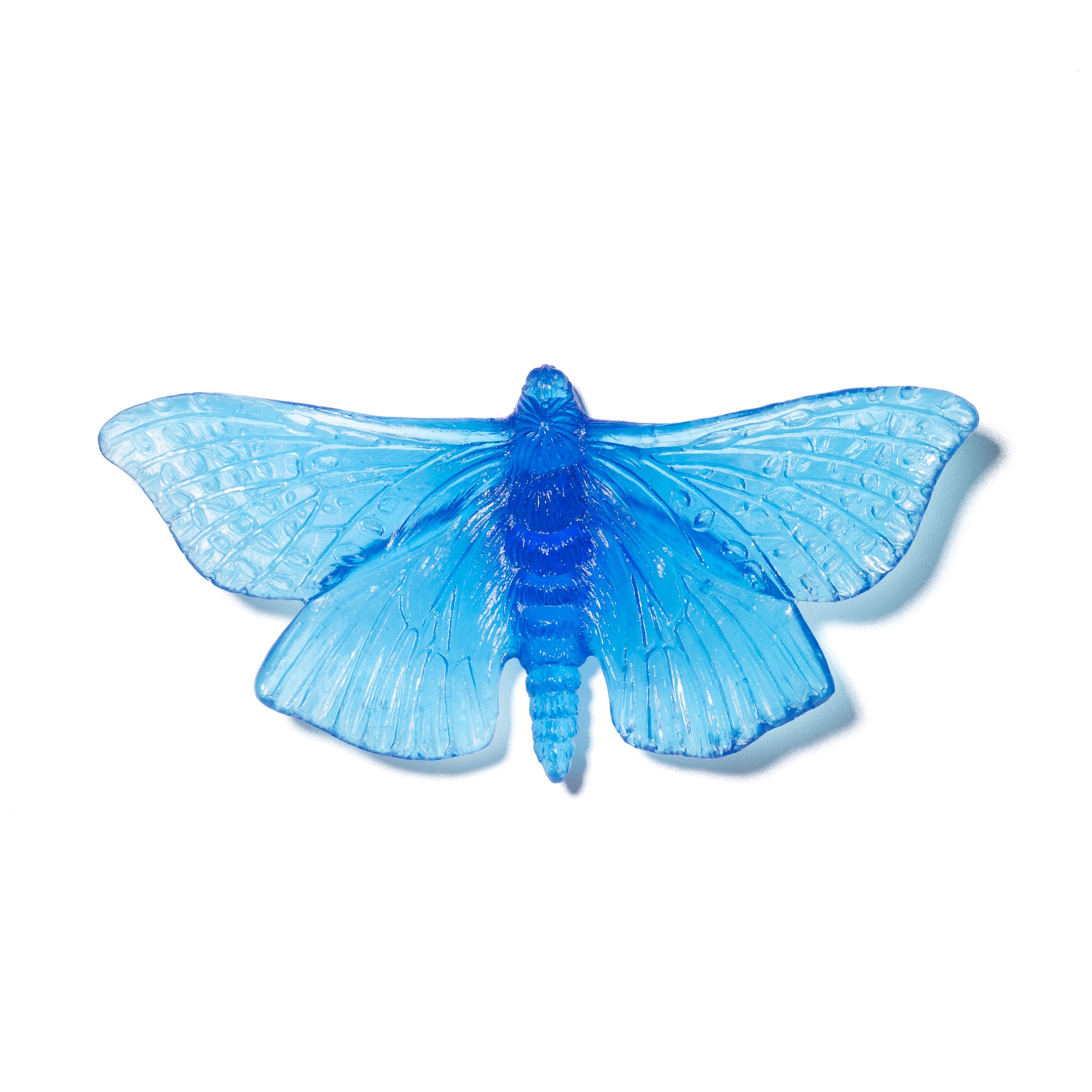 Pūriri Moth | Glass