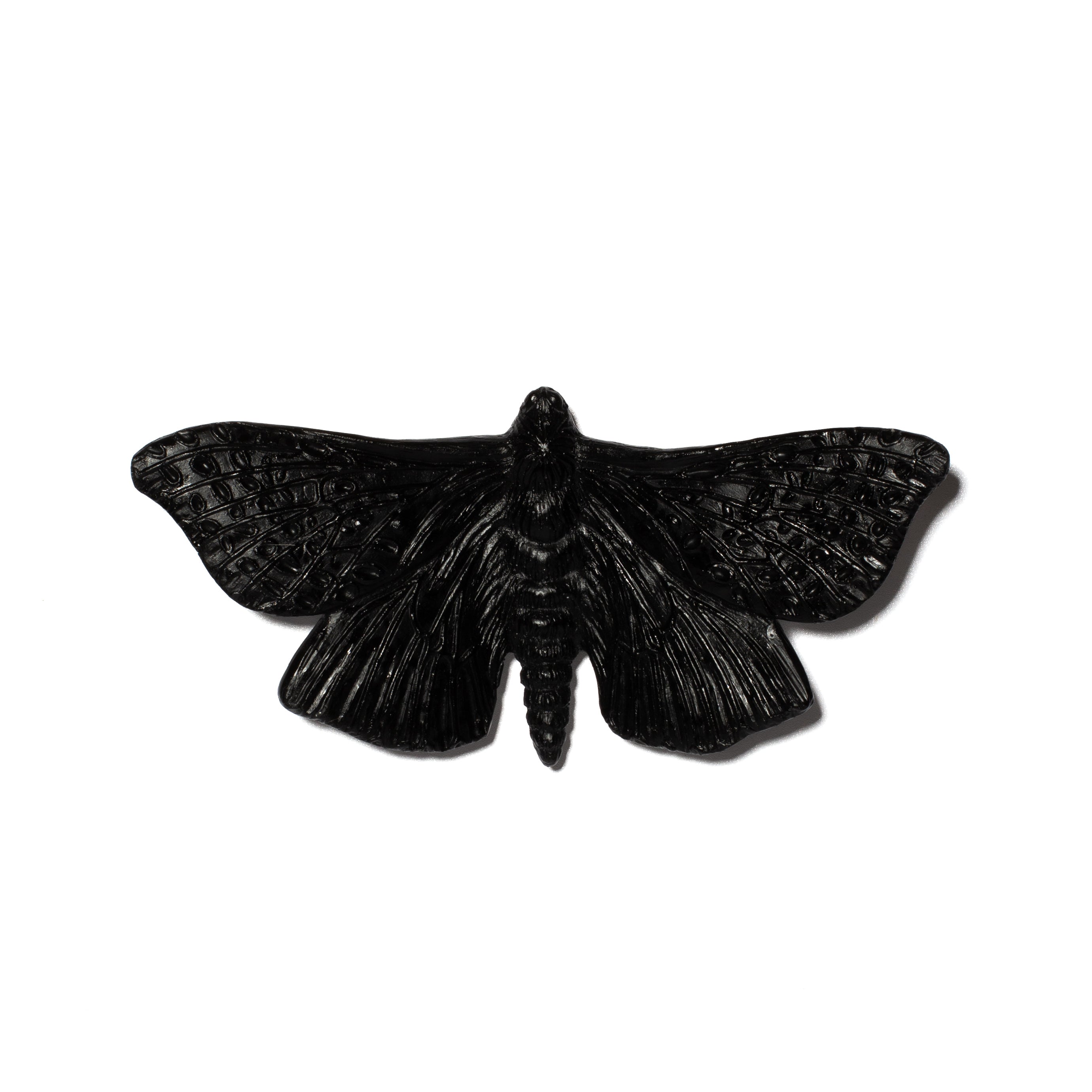 Pūriri Moth | Glass