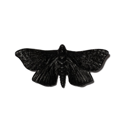 Pūriri Moth | Glass
