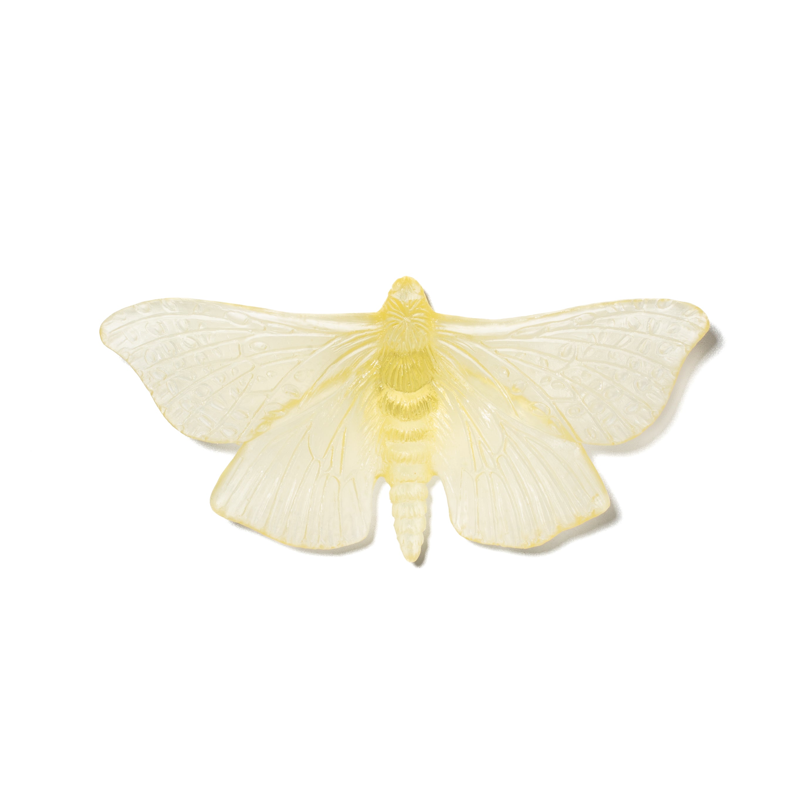 Pūriri Moth | Glass