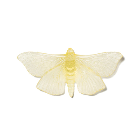 Pūriri Moth | Glass