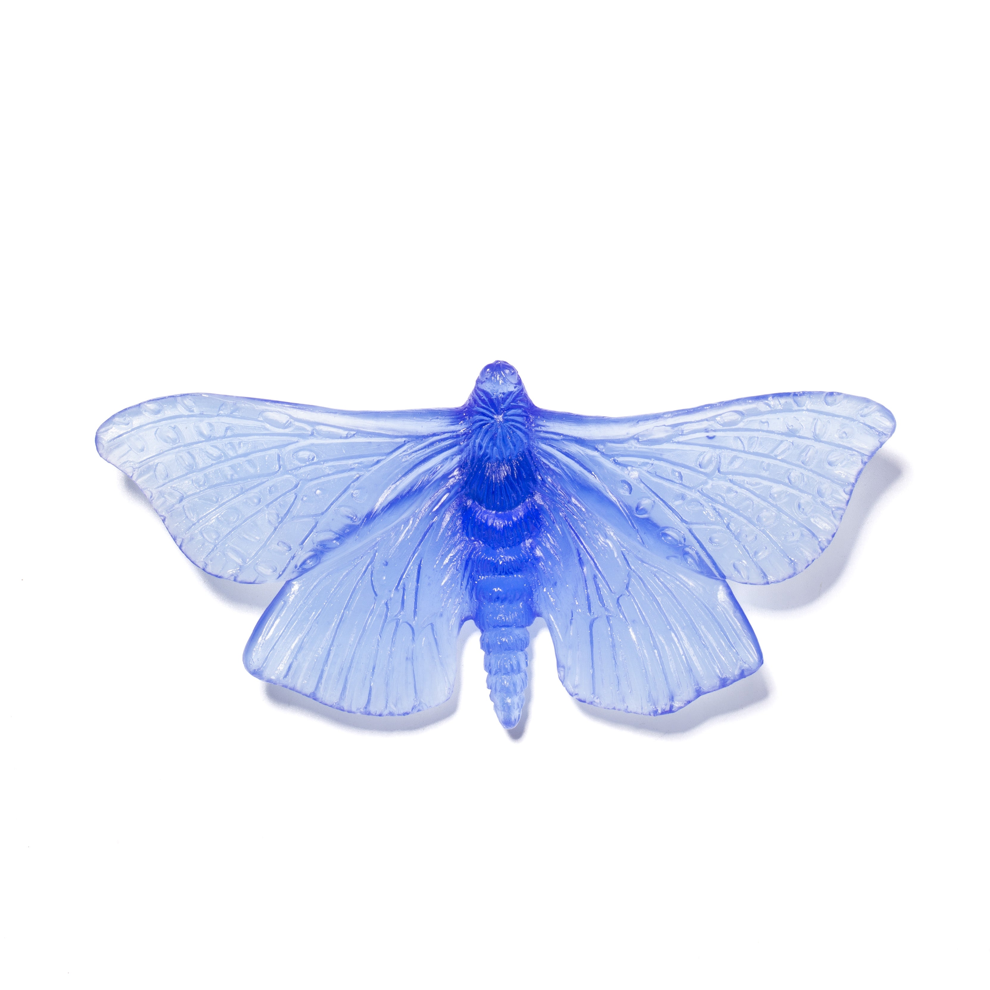 Pūriri Moth | Glass