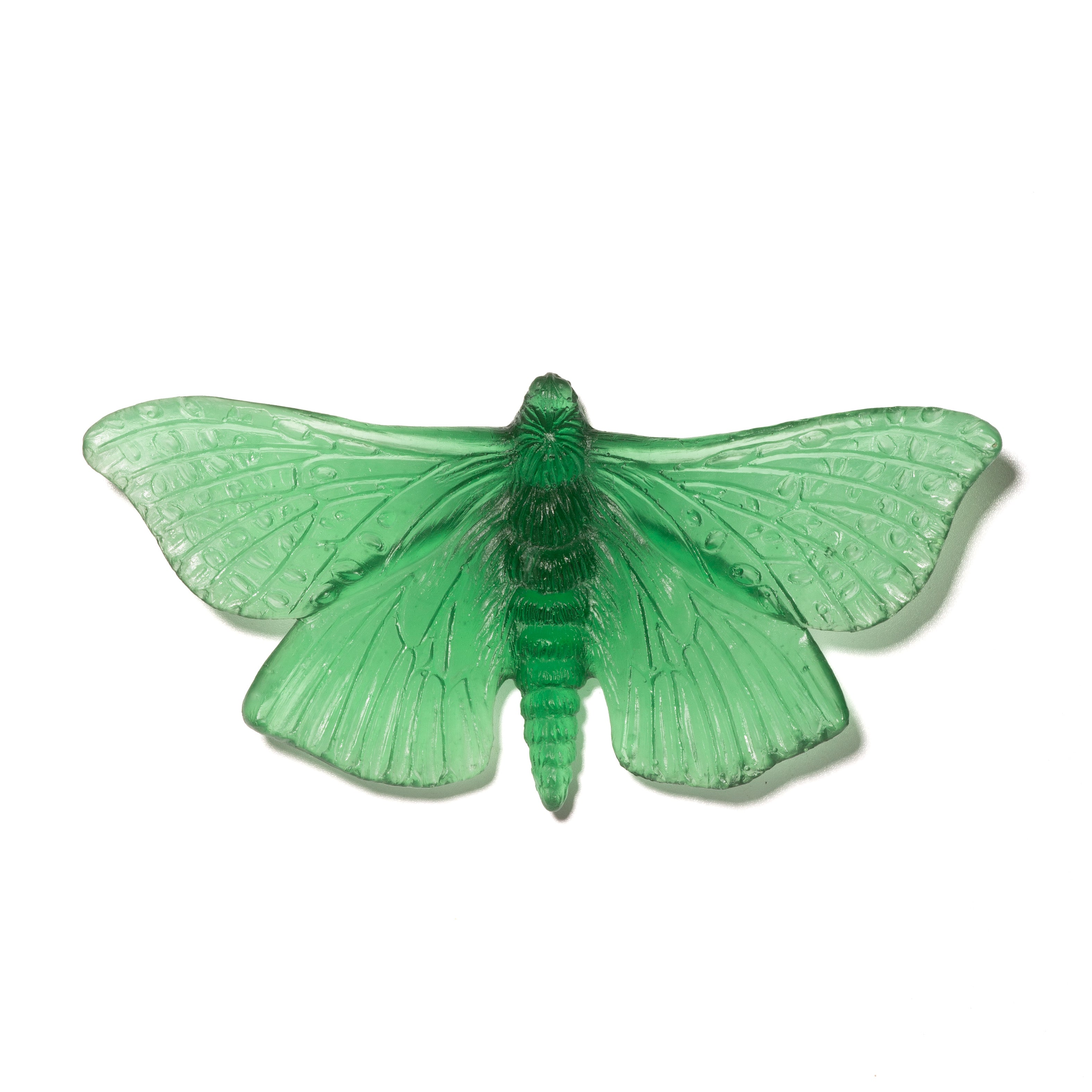 Pūriri Moth | Glass
