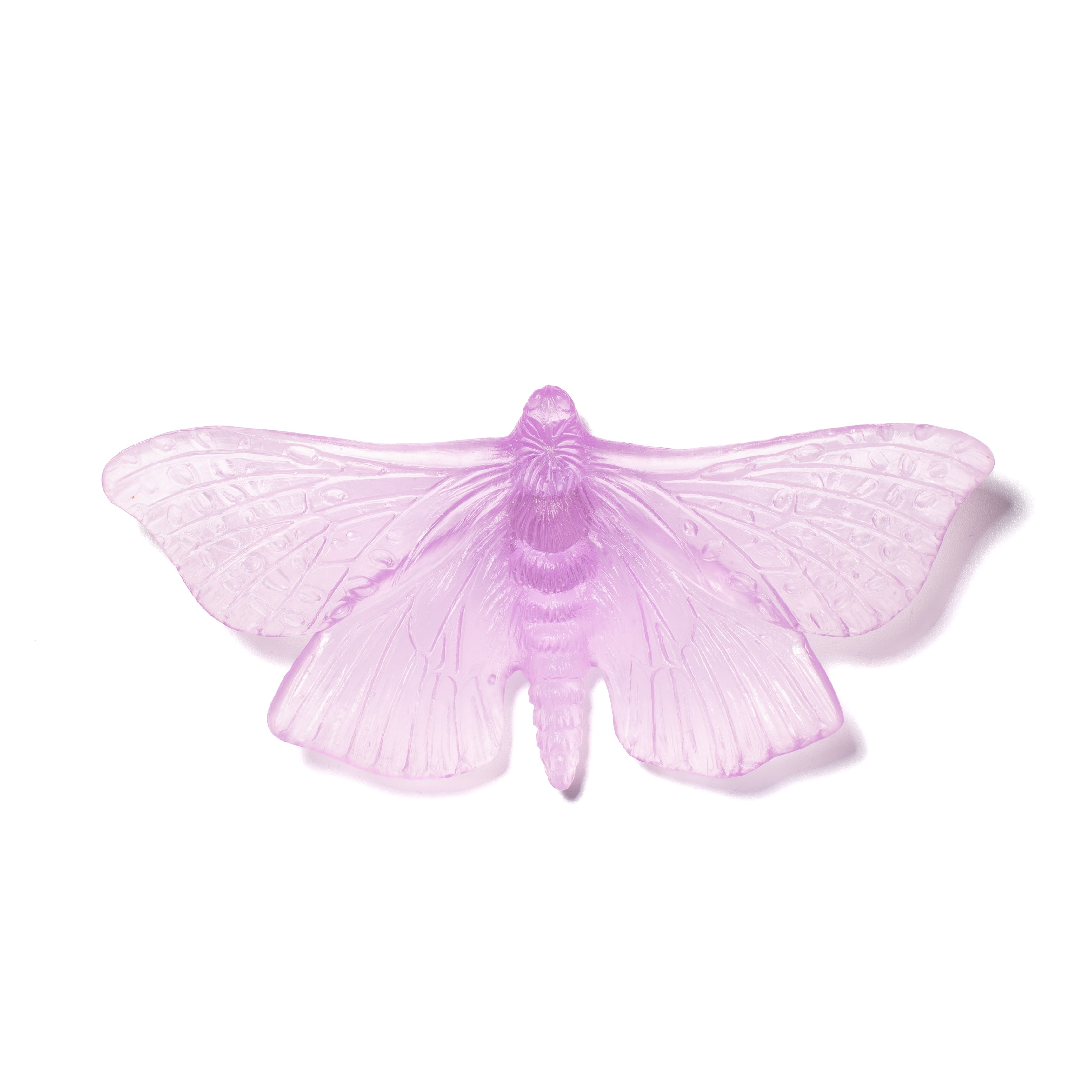 Pūriri Moth | Glass