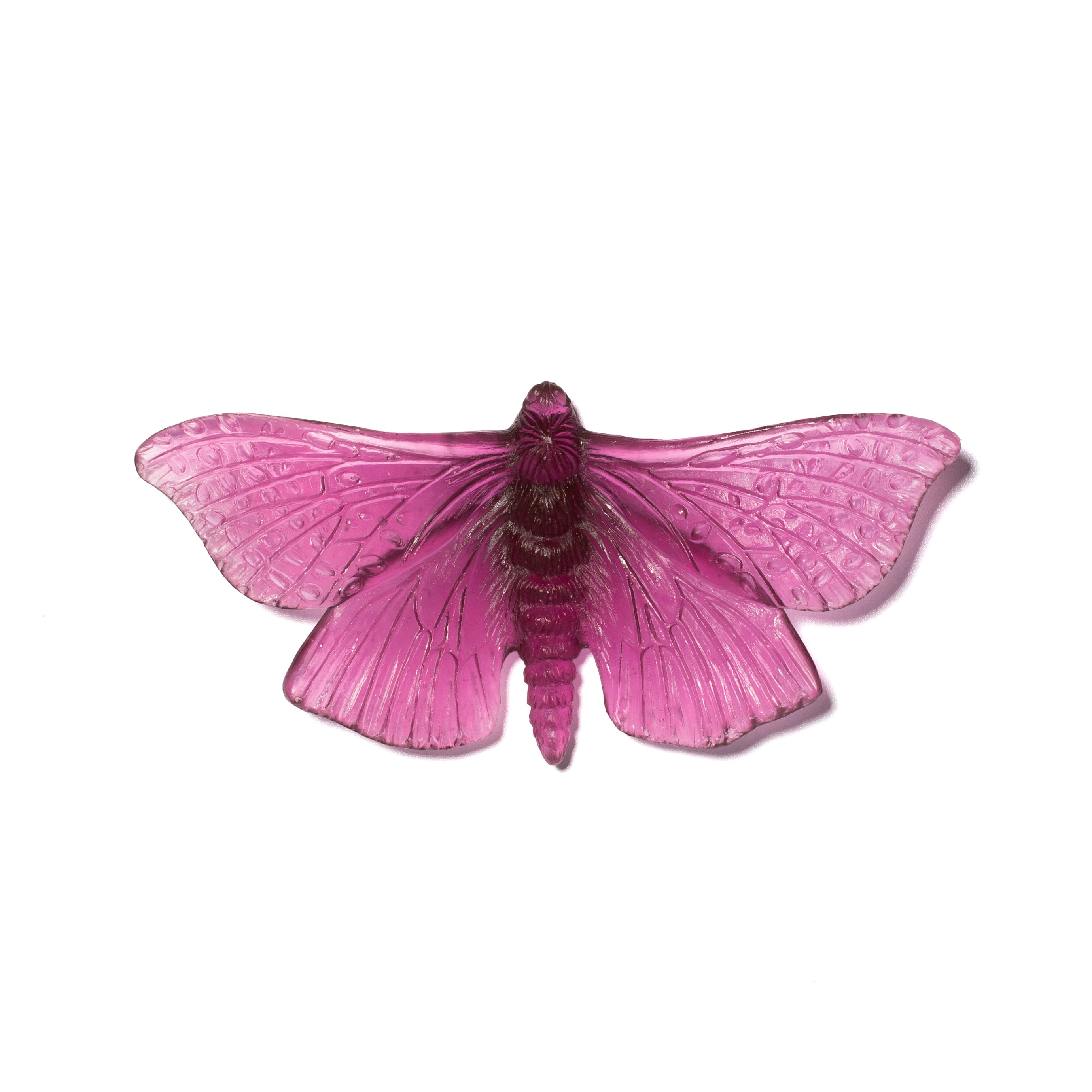 Pūriri Moth | Glass