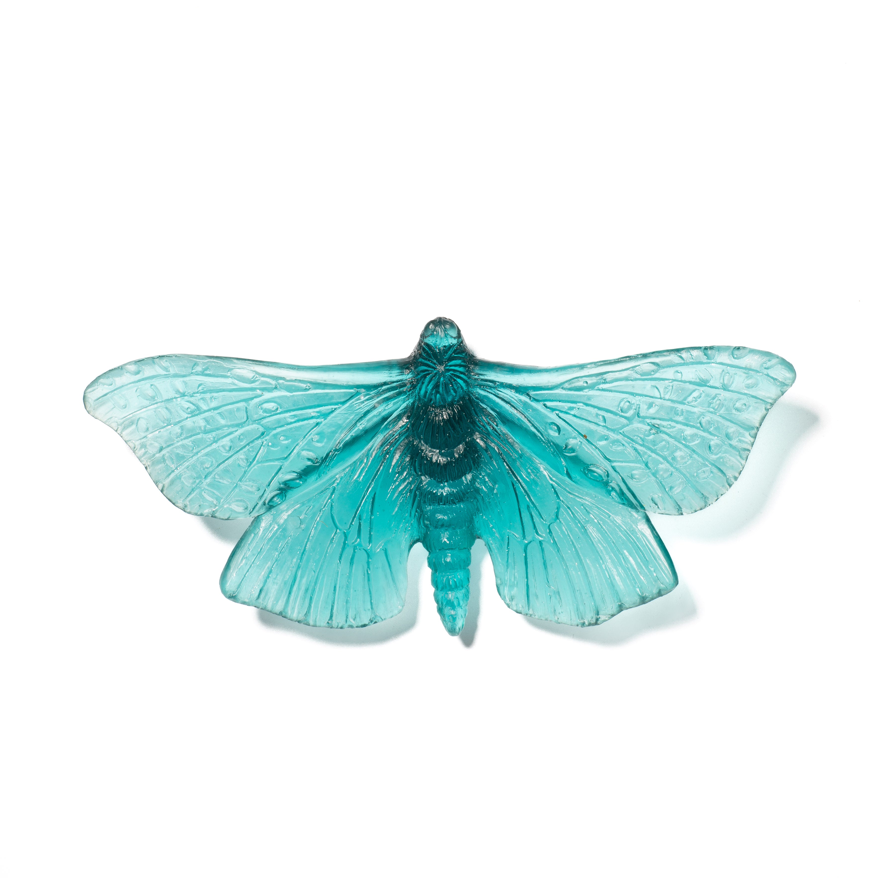Pūriri Moth | Glass