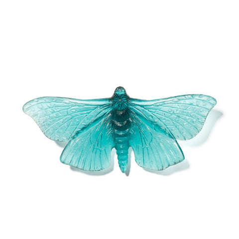 Pūriri Moth | Glass