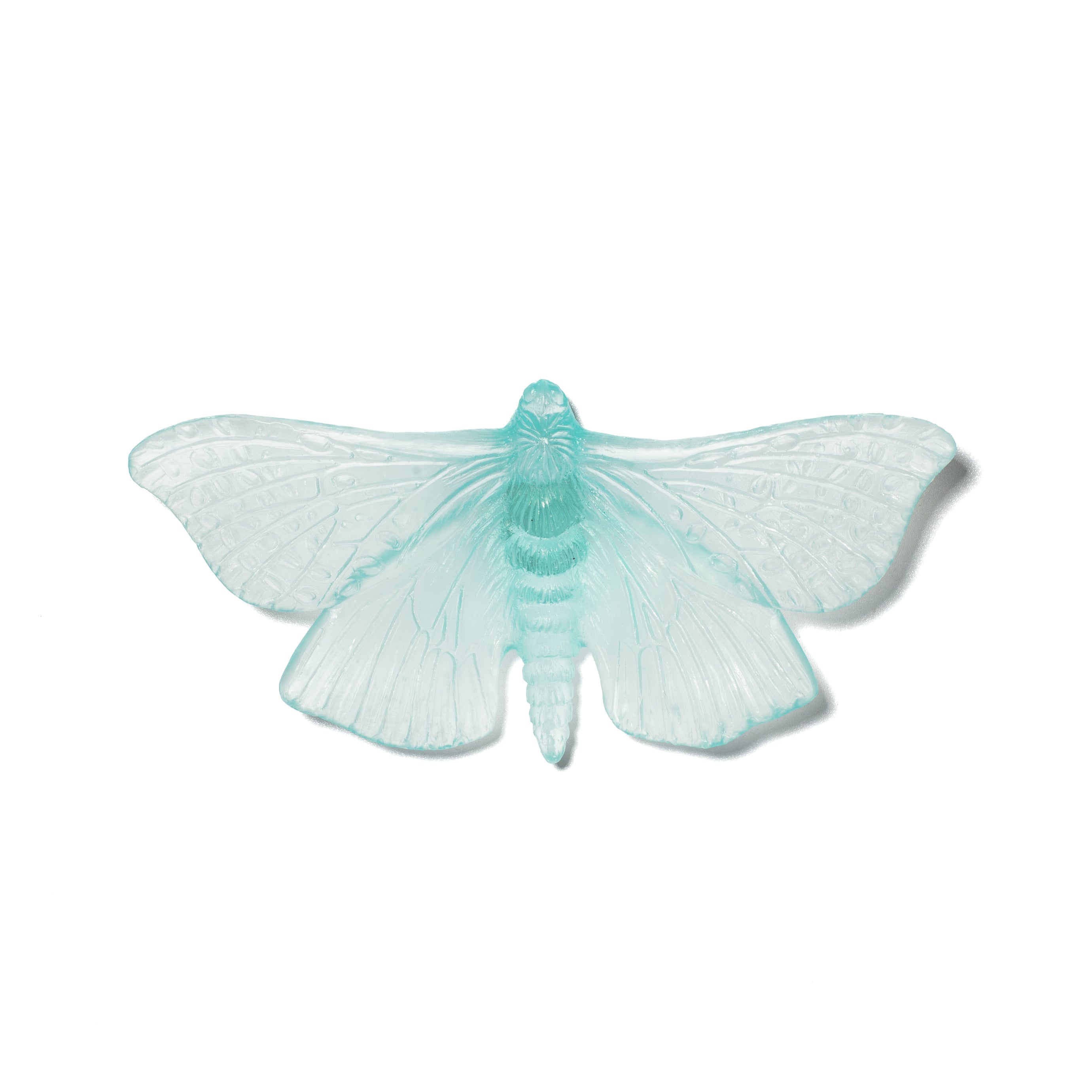 Pūriri Moth | Glass