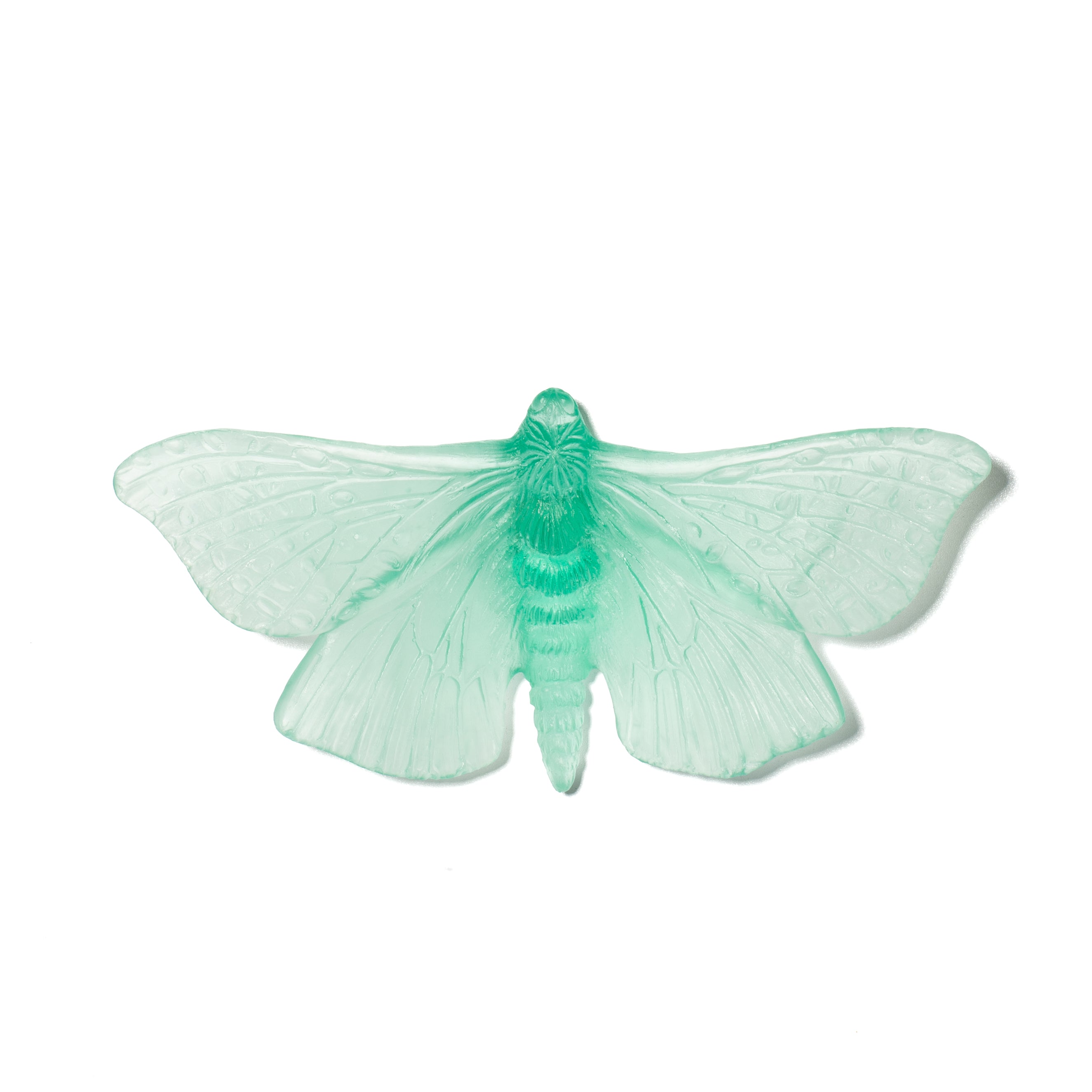Pūriri Moth | Glass