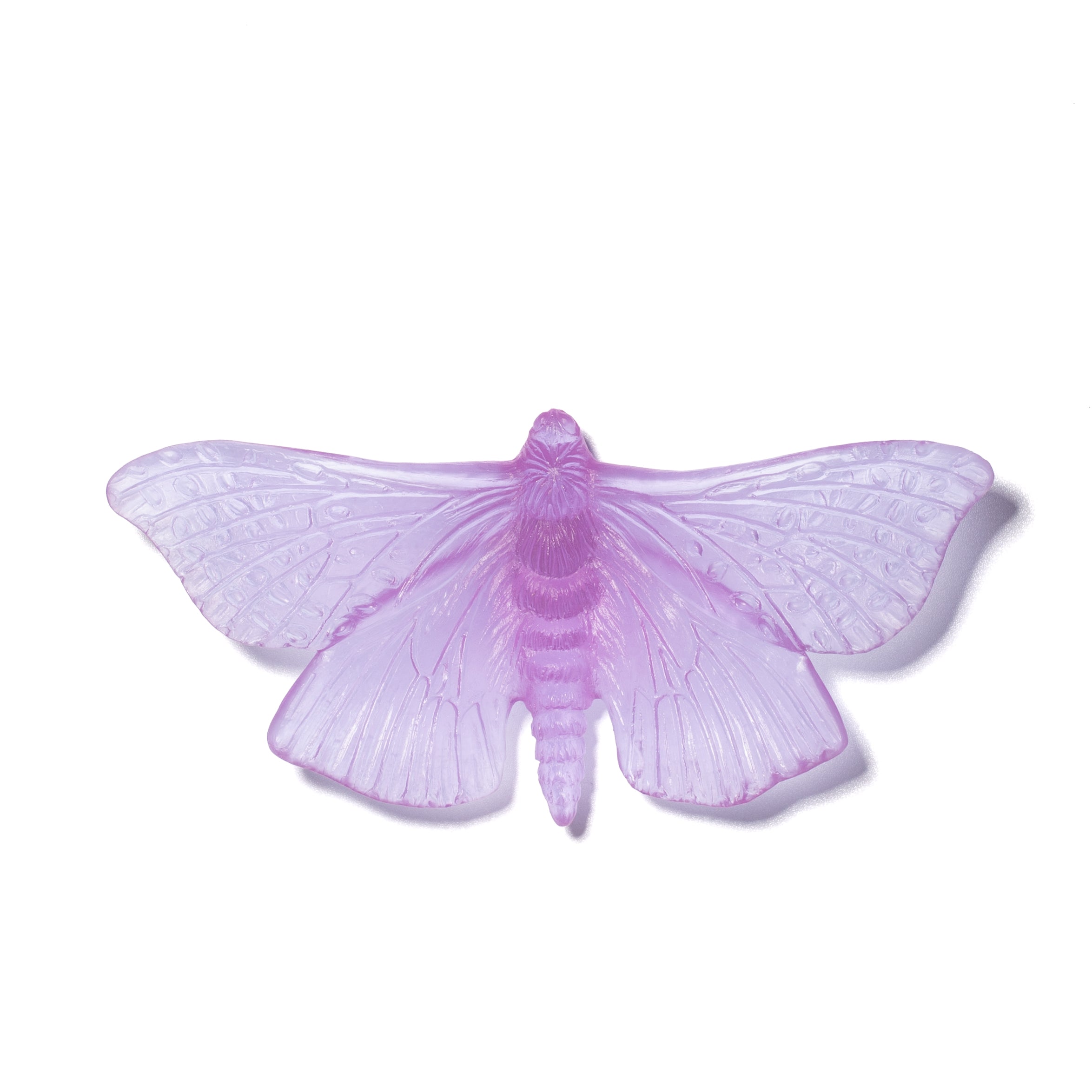Pūriri Moth | Glass