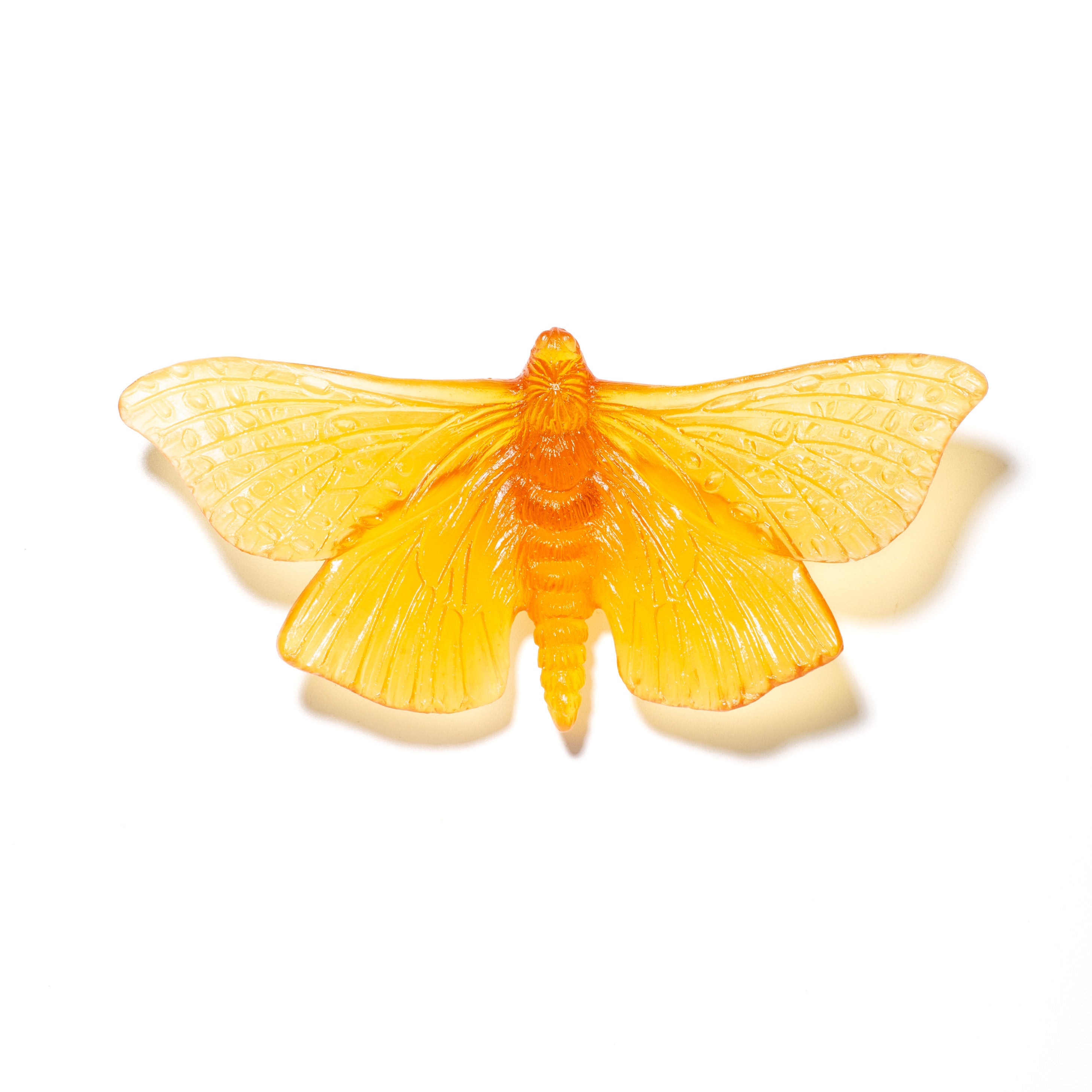 Pūriri Moth | Glass