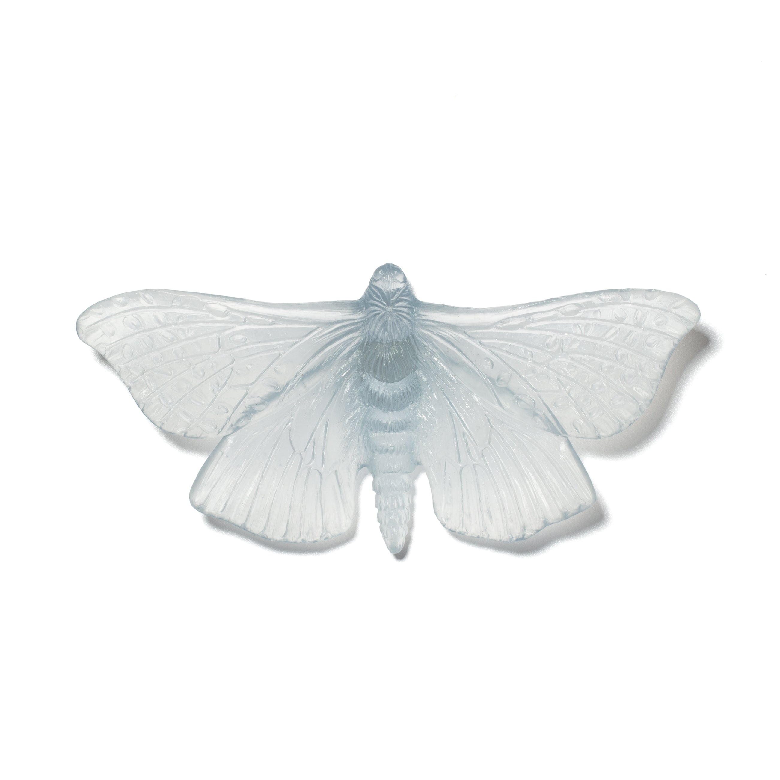 Pūriri Moth | Glass