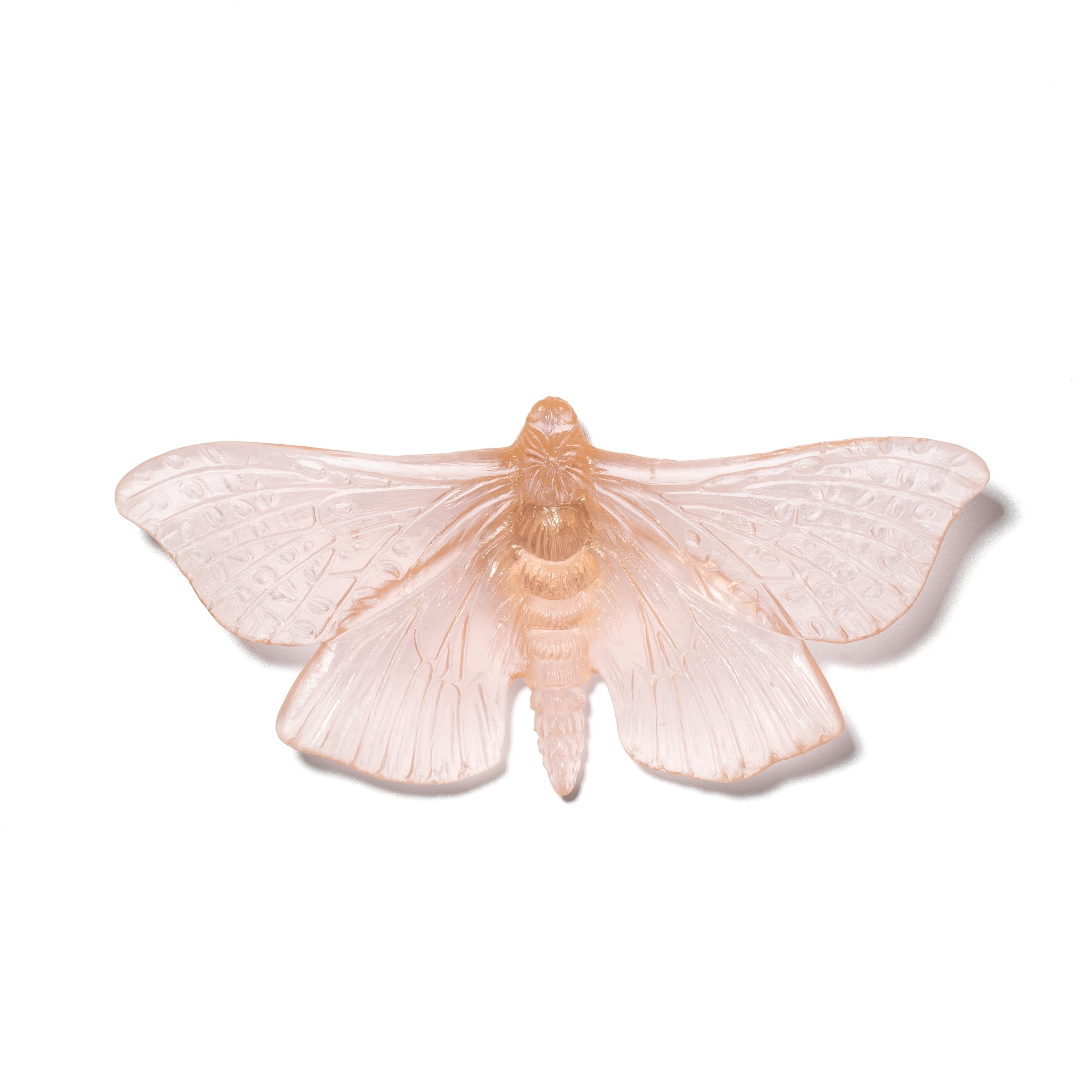 Pūriri Moth | Glass