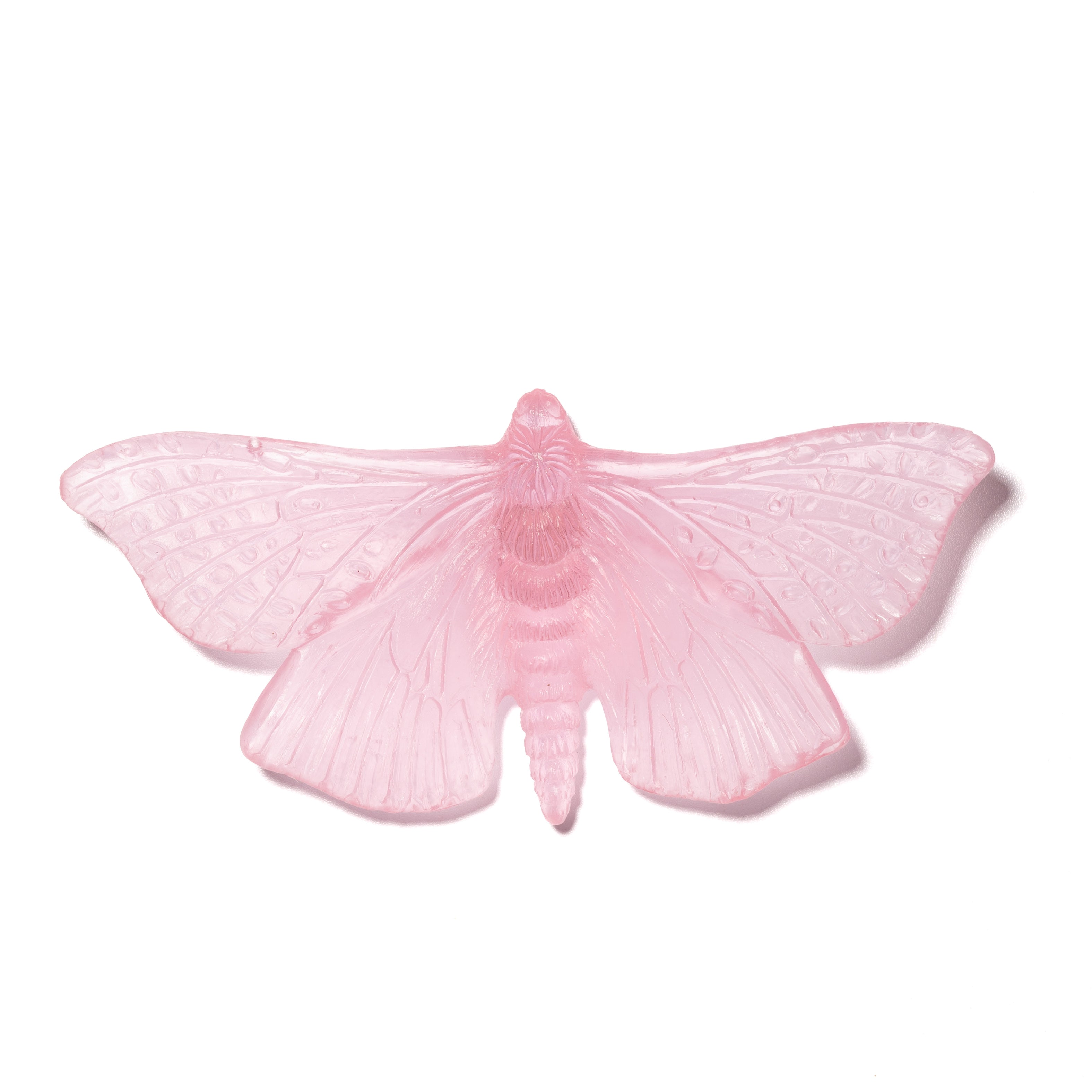 Pūriri Moth | Glass