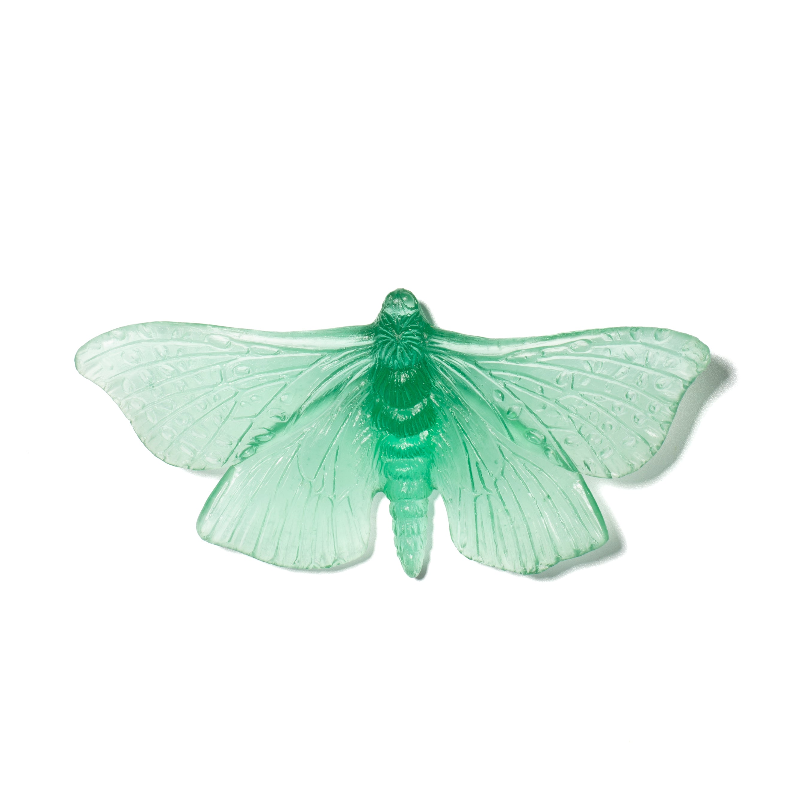 Pūriri Moth | Glass