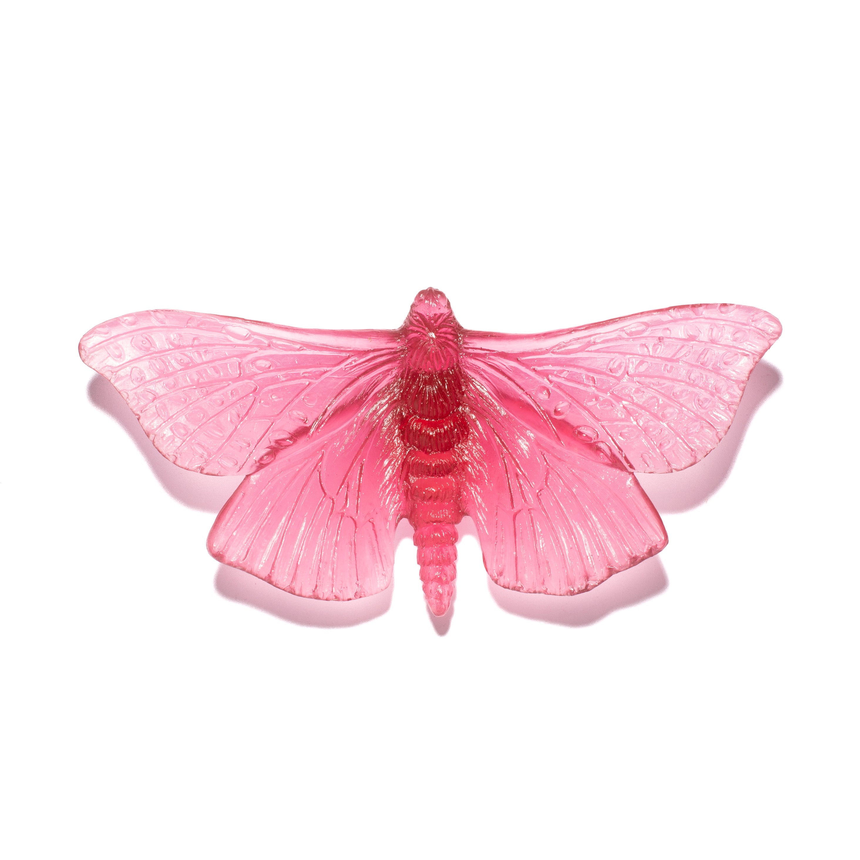 Pūriri Moth | Glass