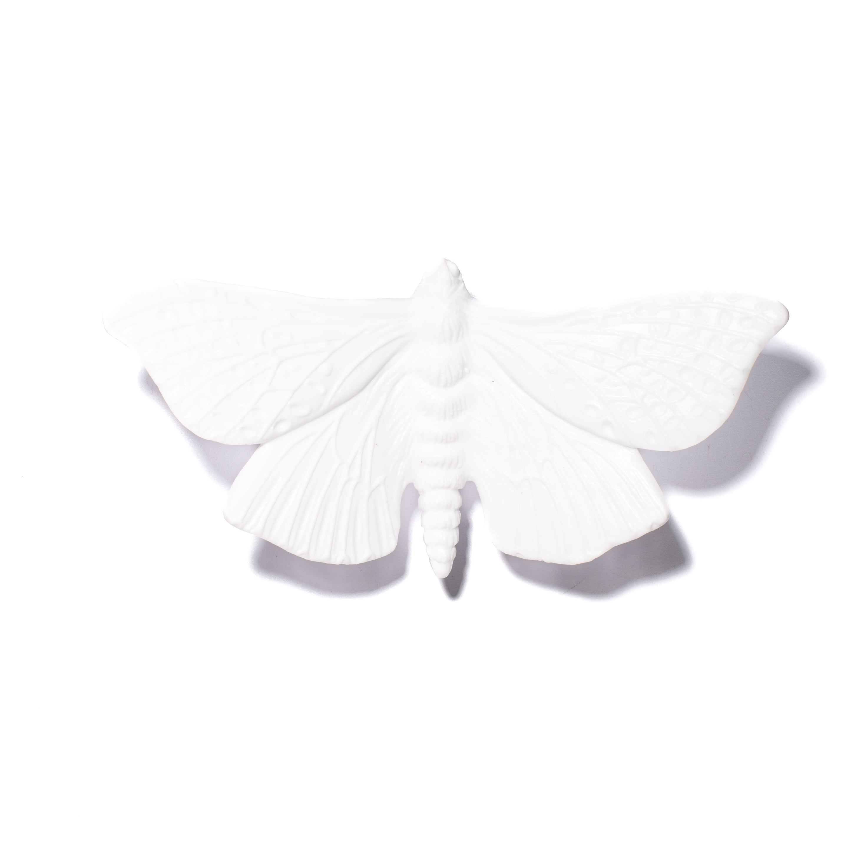 Pūriri Moth | Glass