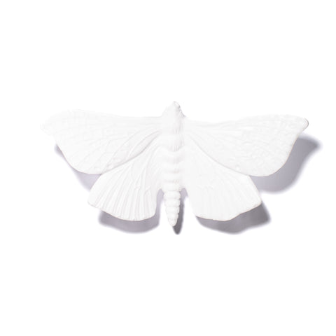 Pūriri Moth | Glass