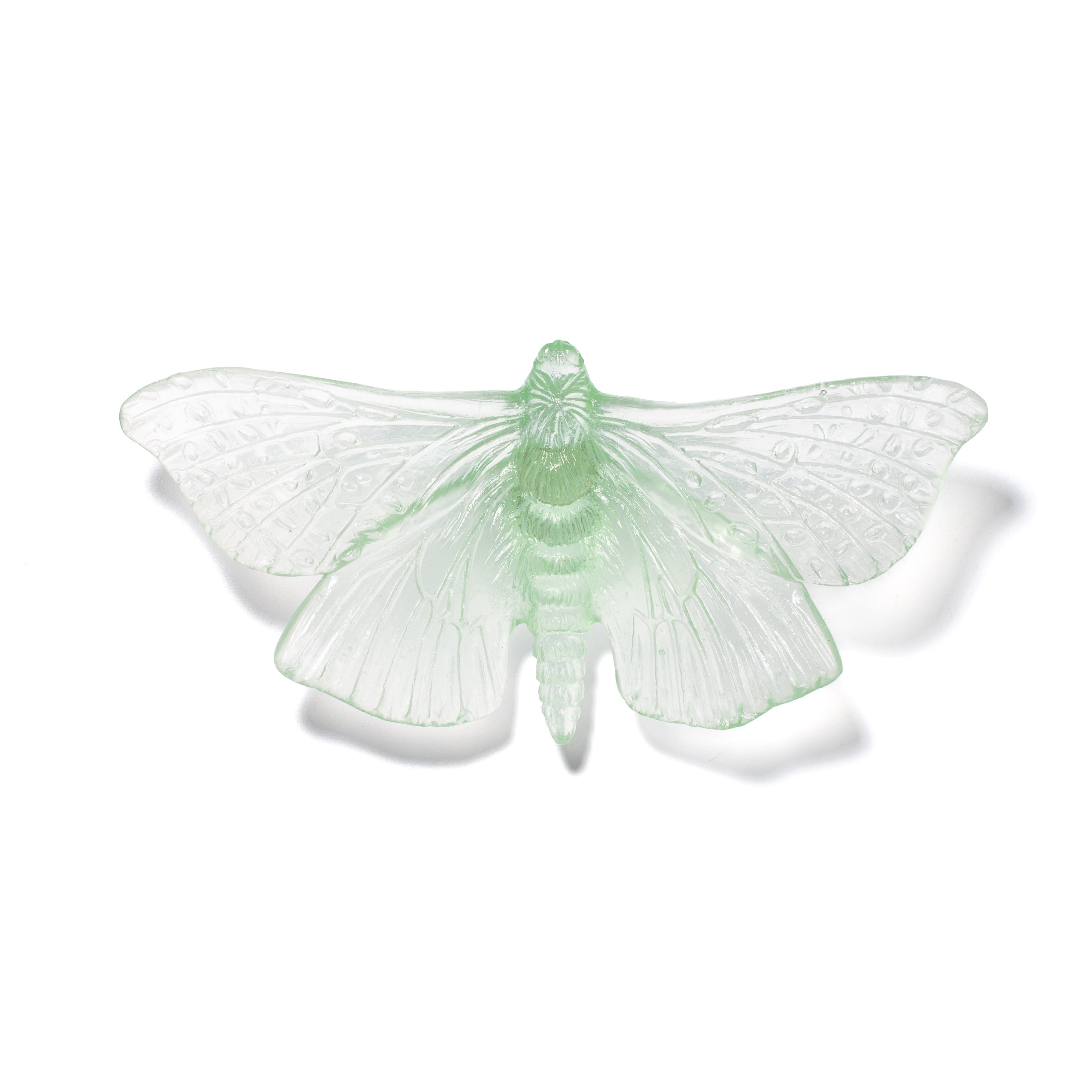 Pūriri Moth | Glass