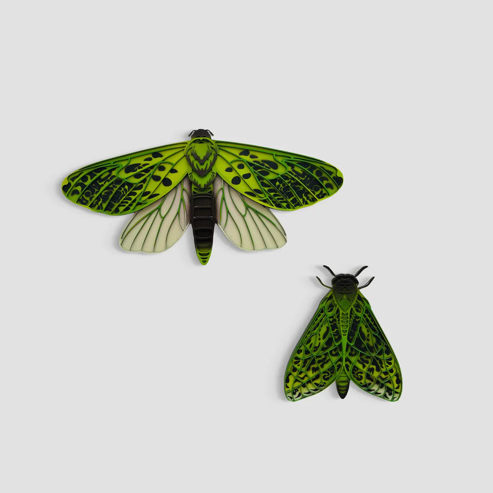 Pūriri Moths | 3D Wall Sculpture