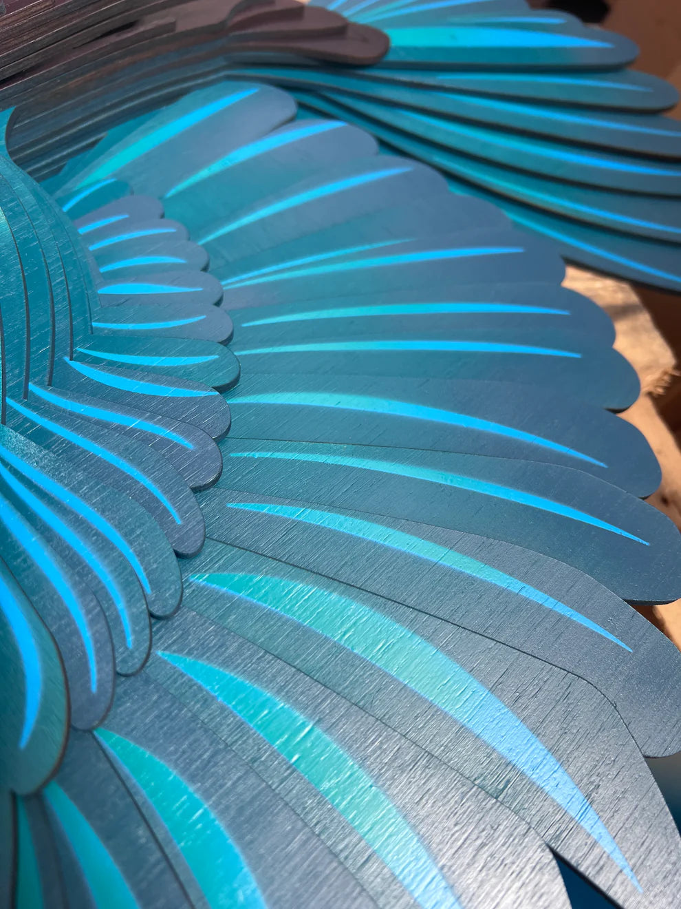 Classic Tui | 3D Wall Sculpture