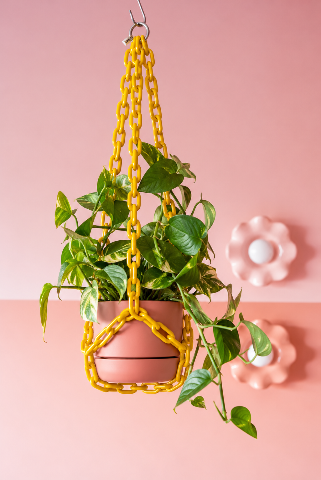 Plant Chain Hanger