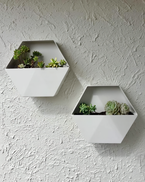 Hex Planter