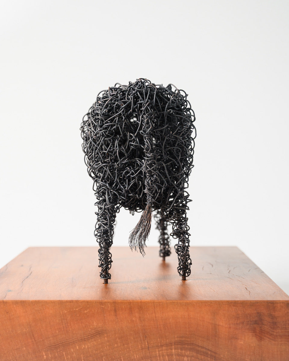 Oat | Wire Cow Sculpture | Lynda Soutar