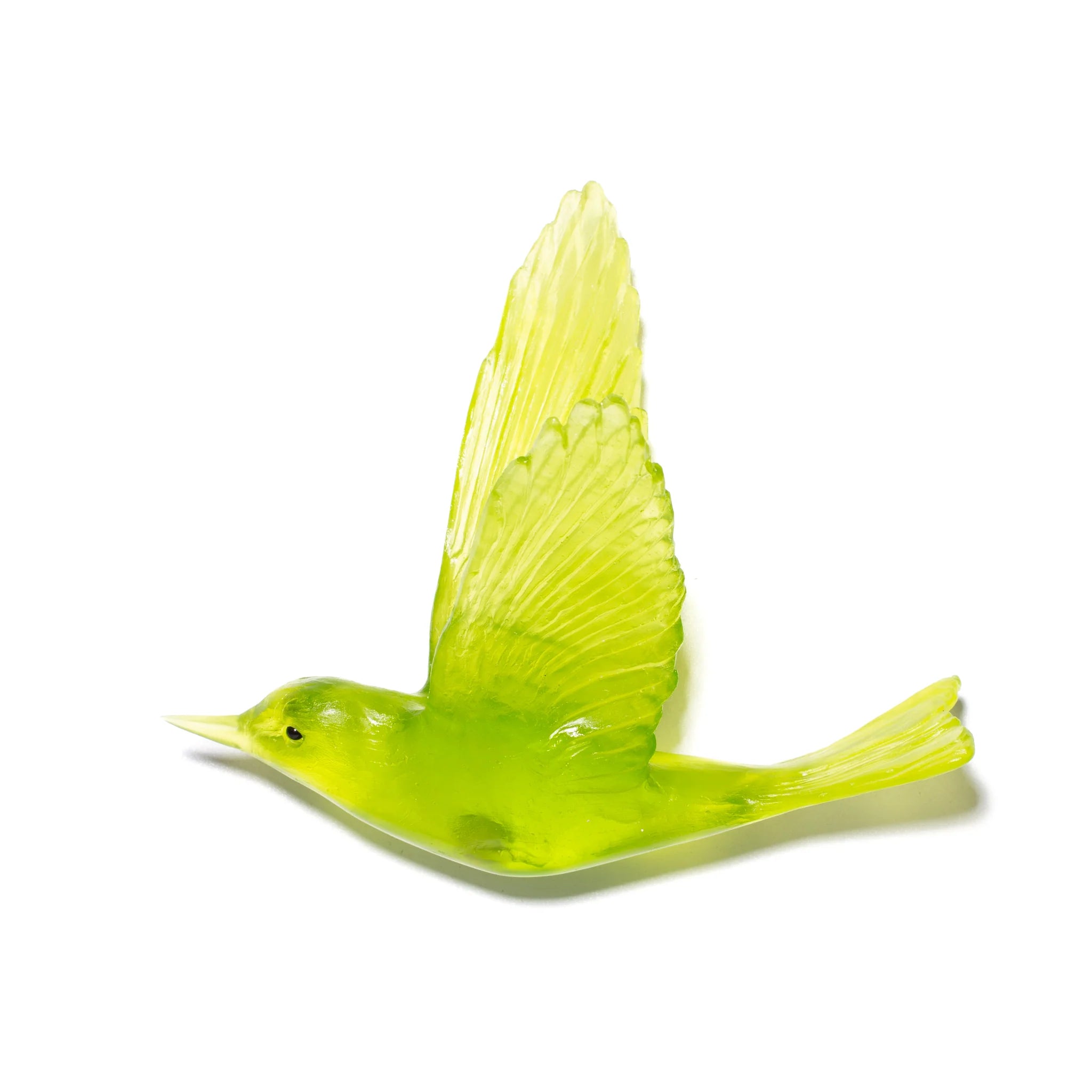 Pipiwharauroa / Shining Cuckoo | Glass Bird