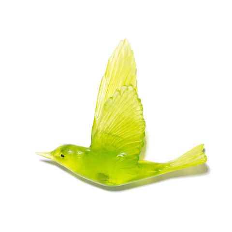 Pipiwharauroa / Shining Cuckoo | Glass Bird