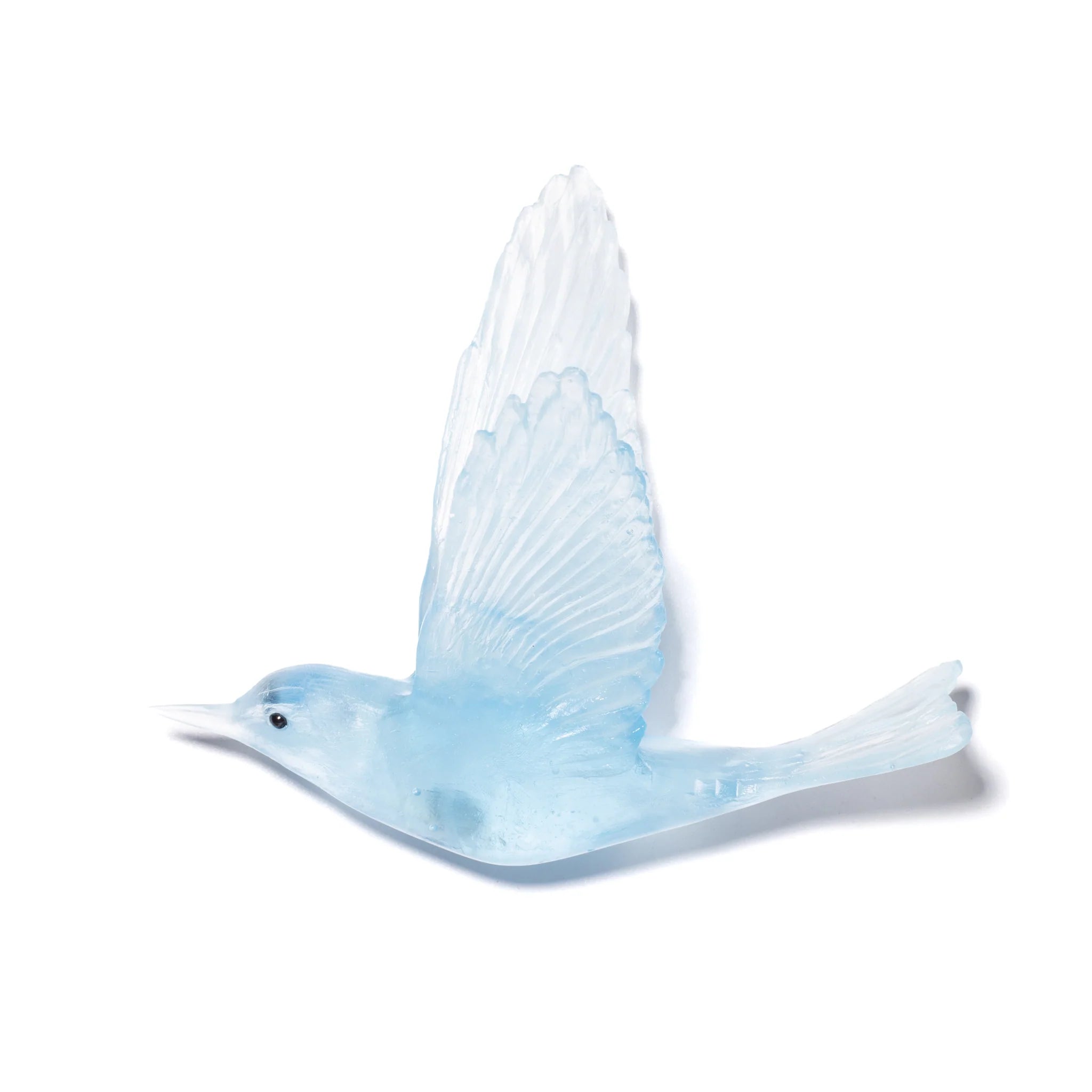 Pipiwharauroa / Shining Cuckoo | Glass Bird