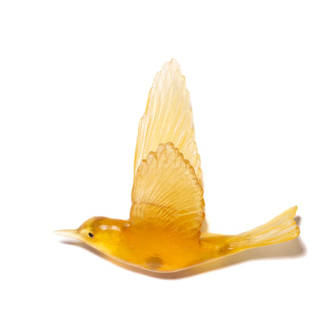 Pipiwharauroa / Shining Cuckoo | Glass Bird