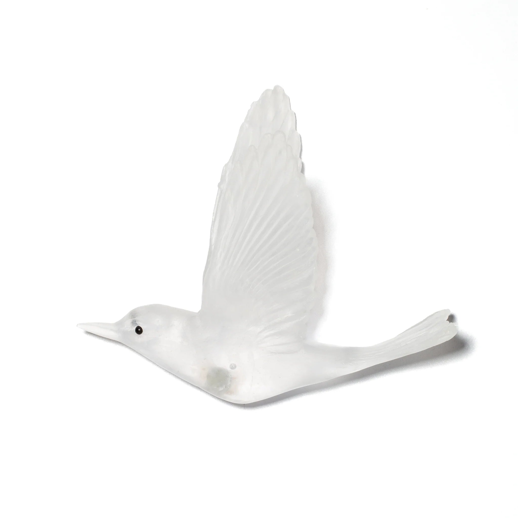 Pōpokotea / Whitehead | Glass Bird