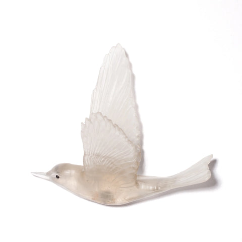 Pipiwharauroa / Shining Cuckoo | Glass Bird