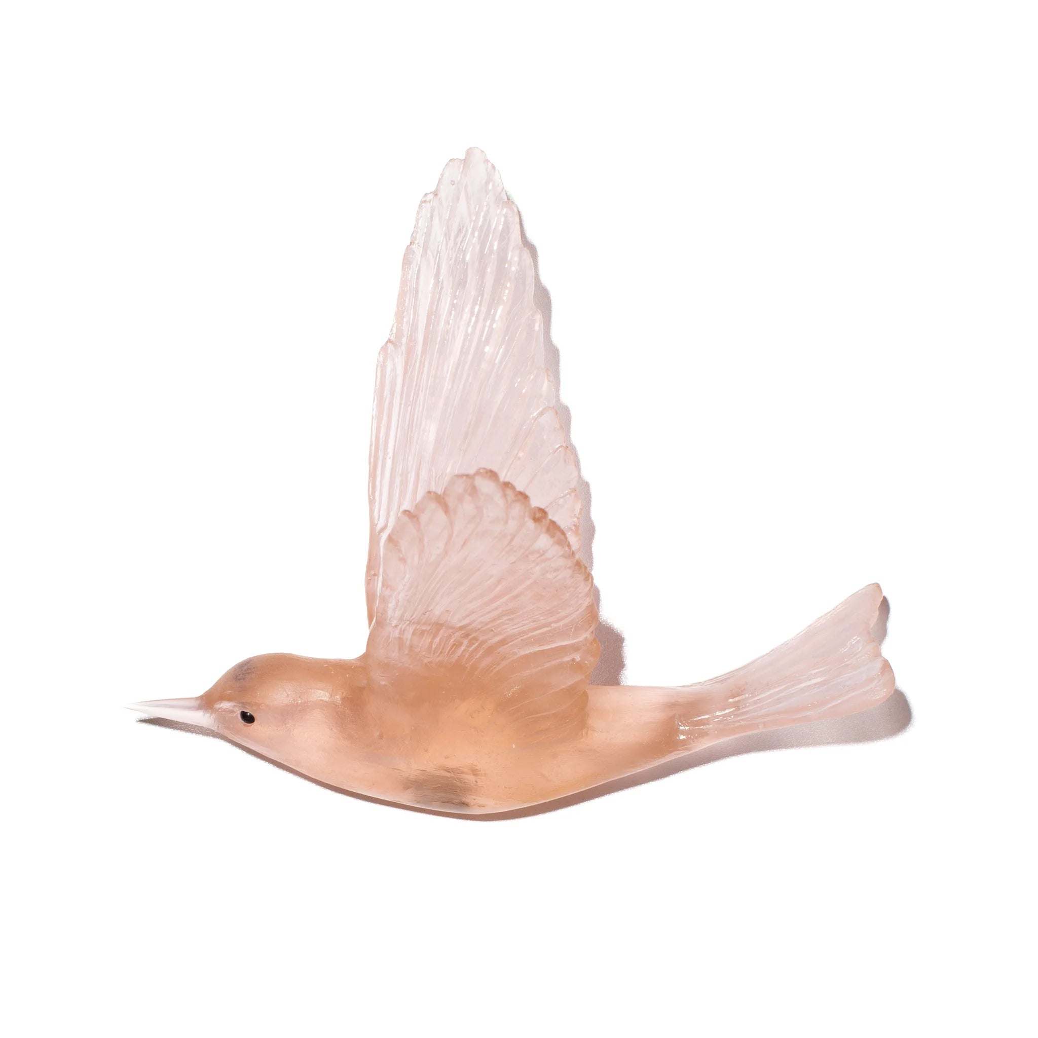 Pipiwharauroa / Shining Cuckoo | Glass Bird