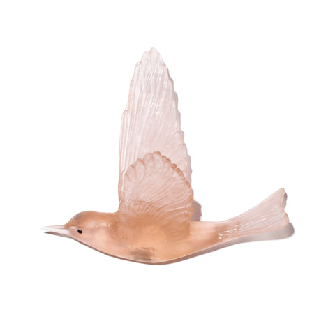 Pipiwharauroa / Shining Cuckoo | Glass Bird