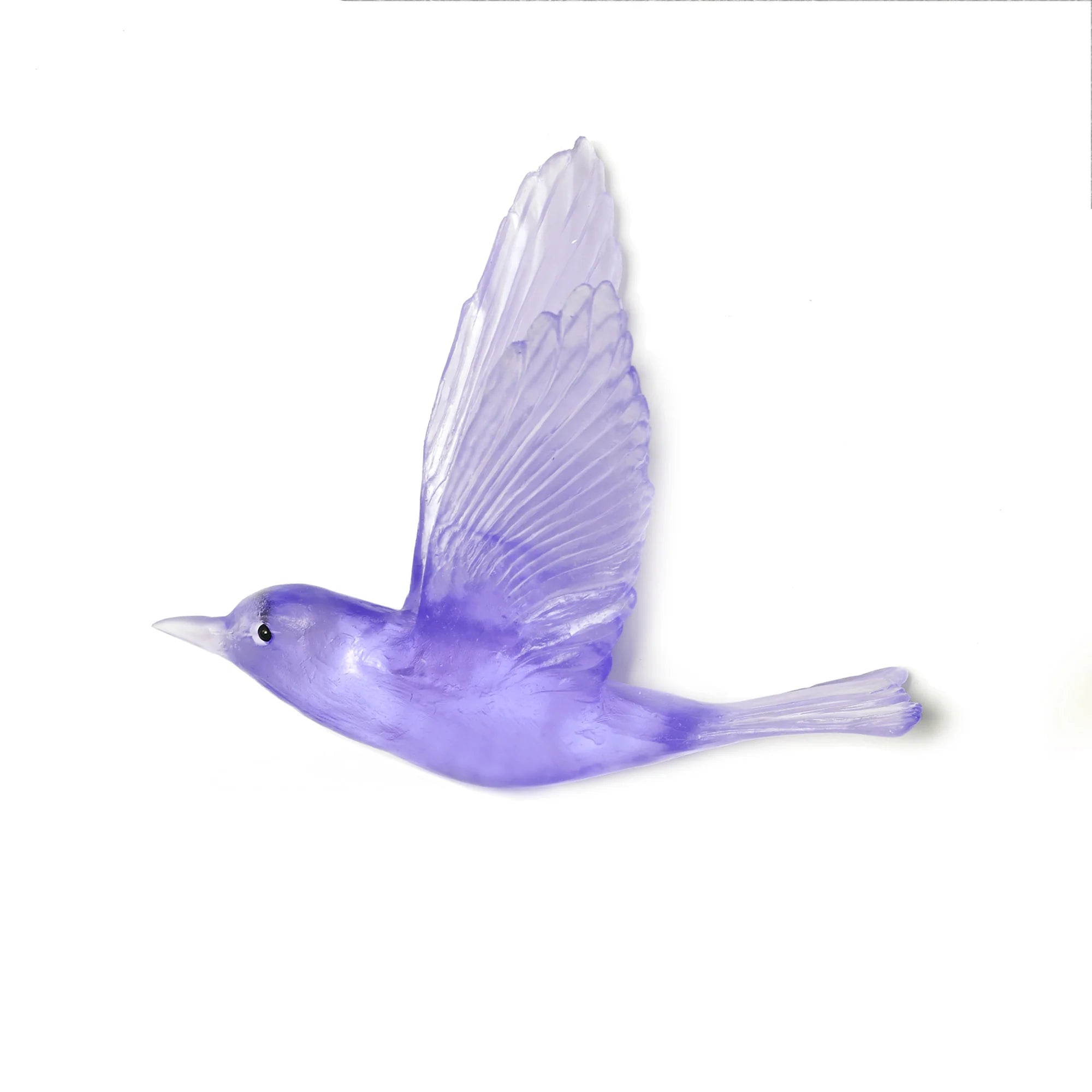 Pipiwharauroa / Shining Cuckoo | Glass Bird